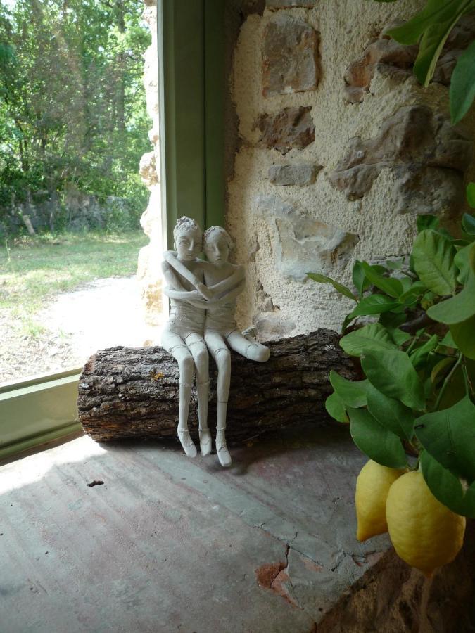 La Rose Des Vents Bed and Breakfast Montauroux Exteriör bild