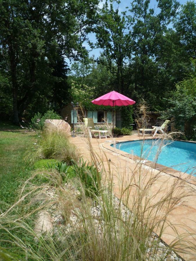 La Rose Des Vents Bed and Breakfast Montauroux Exteriör bild